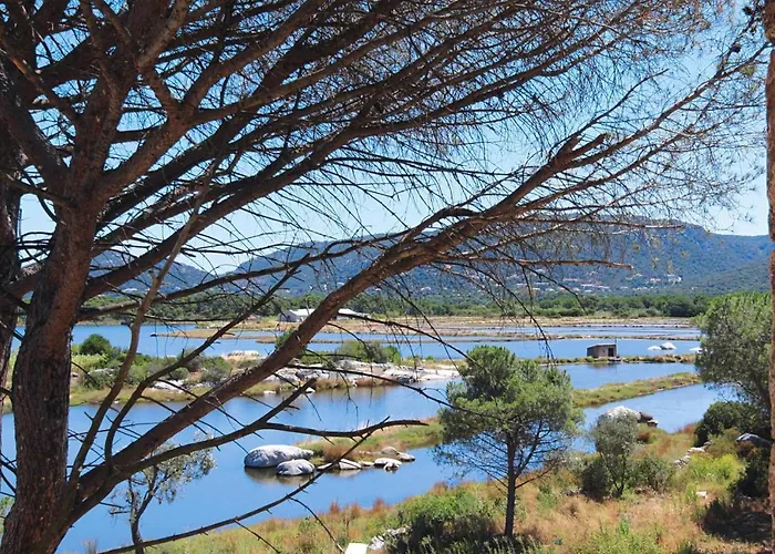 Apartamento In Corsica Near Palombaggia